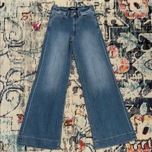 Express Blue Flare Wide-Leg Jeans